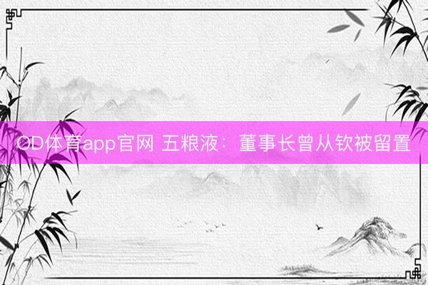 OD体育app官网 五粮液：董事长曾从钦被留置