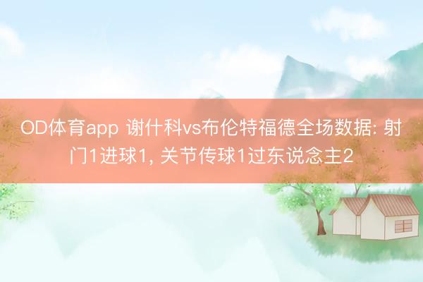 OD体育app 谢什科vs布伦特福德全场数据: 射门1进球1, 关节传球1过东说念主2