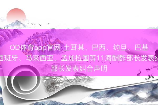 OD体育app官网 土耳其、巴西、约旦、巴基斯坦、西班牙、马来西亚、孟加拉国等11海酬酢部长发表纠合声明
