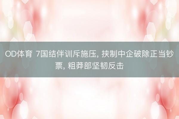 OD体育 7国结伴训斥施压, 挟制中企破除正当钞票, 粗莽部坚韧反击